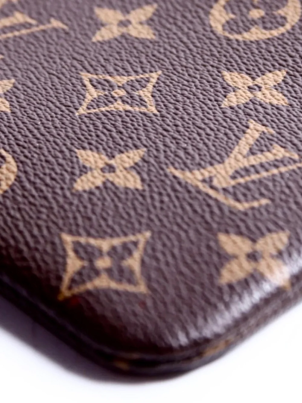 Louis Vuitton Monogram Daily Pouch